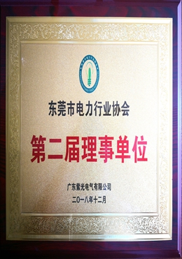 東莞市電力行業(yè)協(xié)會(huì)理事單位